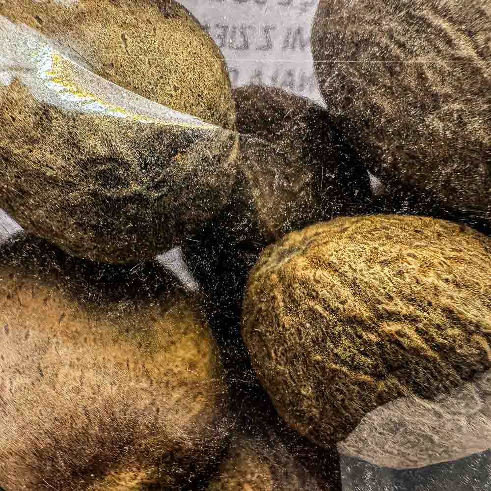 Gałka muszkatołowa orzech 2 Gałka muszkatołowa orzech