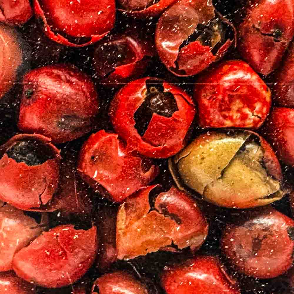 Pieprz czerwony 2 Pieprz czerwony